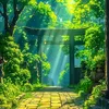 dragon408_012.com