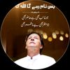 kashif.khan36375