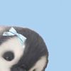 pinguin cute 556