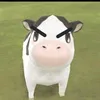 its.phwanvhao