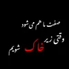 sarwari_official_