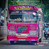 chamith__43
