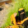 nihachowdhury281