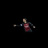 fans_zlatan_ibrahimovic