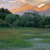 kashif92730