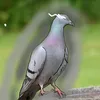 kmatvej0