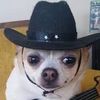 Música_Chingona