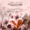 user40480818133181