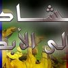 user31307730237711