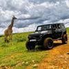 jeeping.in.africa