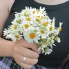 rina44812