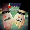 mhamaed.ammr