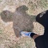 evandro311006