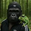 moosboss