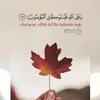 user46690913013160
