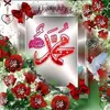 safaa__890