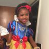 kdbug.theladybug