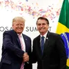 direitalivrebr