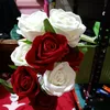 ww.titok.com.lynne