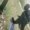 shabba6_six