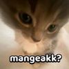 aqeela.zhahirah