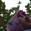 ade.irma5295