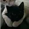 gustavoosous_