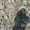 isyasuarez