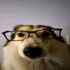 hdjdgsfqcwc
