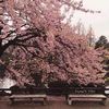 tjin_fung