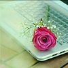 haya_fatima_143