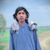 saqib.baloch7361