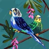 melania.anghel