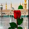 hasnain__08