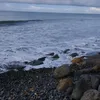 makhlukciptaantuhanhee