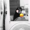 geisha_sh44