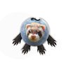 ferret_lover57