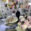 nguyn.doll