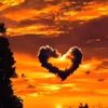 love19800503