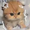 yunn.595