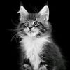 w_keashiy4