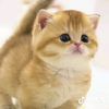 no.name41229