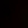 bradiyaqa_21