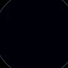 flori_r8