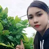 vnngg61