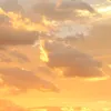 arrcsoo