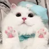 minhkien212