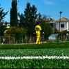 andreasp_1