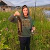 crazy_serpent