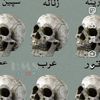 junaidafridi599